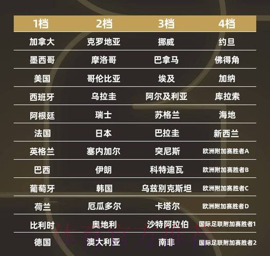 世界杯排名在哪里看